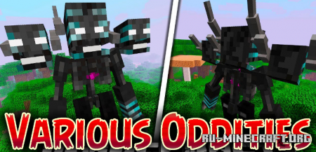 Скачать Various Oddities для Minecraft 1.16.4